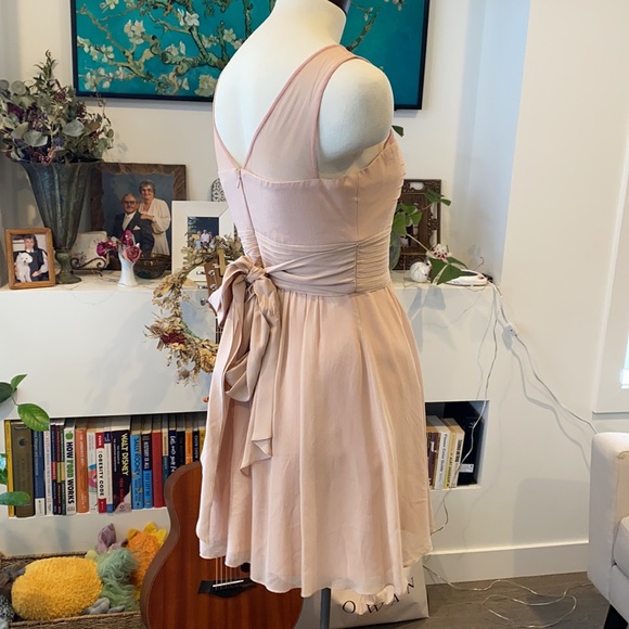 BCBG pink 100% silk bridesmaid dress. - Picture 3 of 5